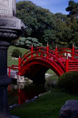 Bridge in the japanese garden