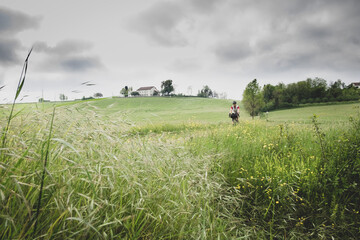 colline del Monferrato con ciclista
