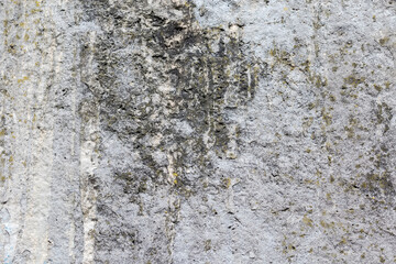 Background of the old concrete wall slightly covered with lichen