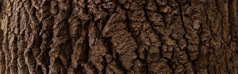 High-resolution panoramic texture of a close-up of the bark of a pine tree. Wooden background to product placement, perfect natural canvas. Brown colour.