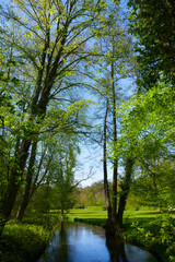 Obraz premium Schlosspark Ludwigslust