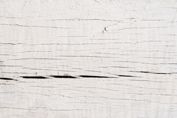 Close up old white wooden texture and background wirh copy space