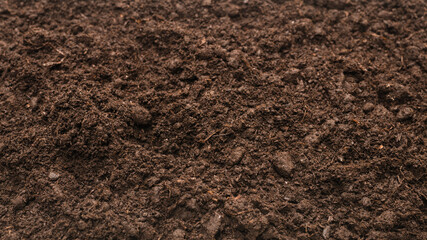 Black land for plant background.