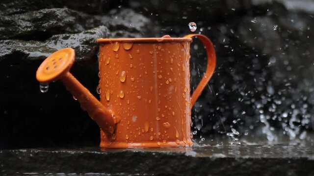 Rain. Water fills the orange watering can. Zooms in on the frame. Garden watering can with rain water.