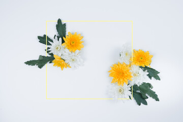spring flower wallpaper collection with white and yellow Chrysanthemum on white background