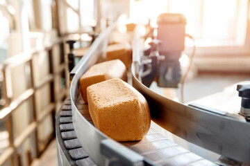 Baked square breads on conveyor food automatic production line bakery from hot oven