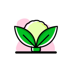 Cauliflower Conceptual Vector Icon Illustration Design