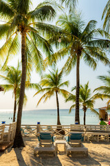 Vacaciones en la playa con cielo azul y palmeras