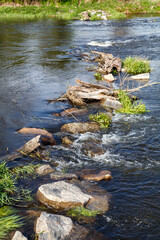 Renaturiertes Flussufer der Naab, Waldnaab