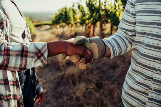 Mixed race make and female colleague shaking hands after successful harvest 