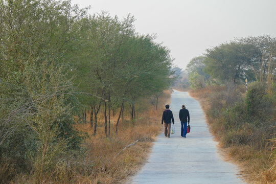 People walking on a road in Aravali diversity-bio Park, Gurgaon