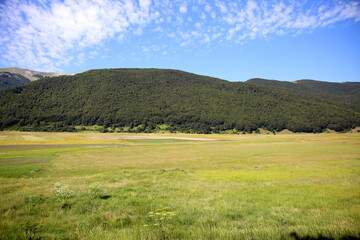 Tree lined mountain seen from the green plateau (Piano delle Cinquemiglia), under a blue sky, Abruzzo, Italy