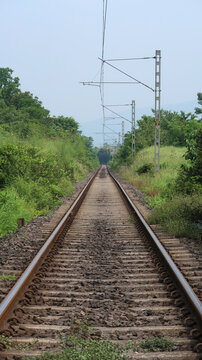 Between rails of a railroad with grass and green plants on the sides