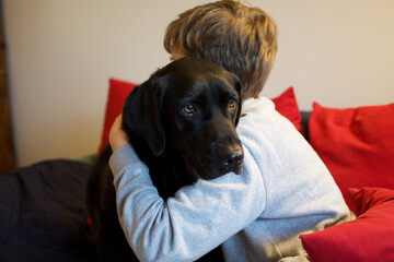 Cute Labrador Dog black calinated by his young master in a sofa
