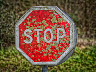 A lichen-covered road sign