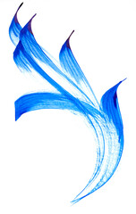 blue abstract ink strokes isolated
