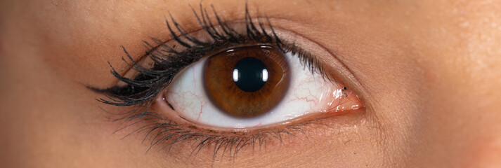 Close-up macro view of eye