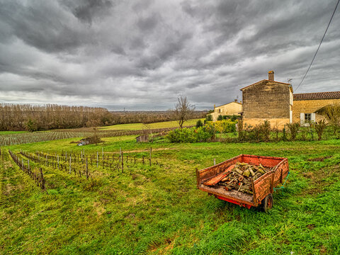 Landscape near Asques with a Vineyard in the Bordeaux region 