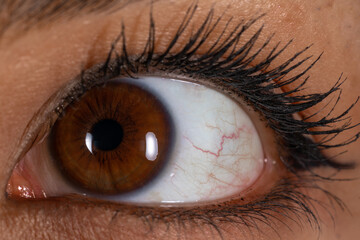 Close-up macro view of eye