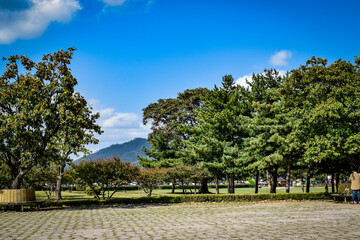 韓国、慶州の公園の情景