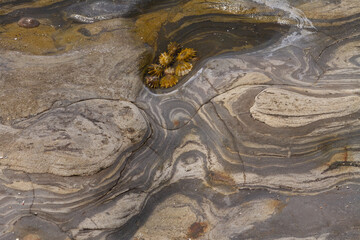 Colorful rock formations among the tide pools in Monterey