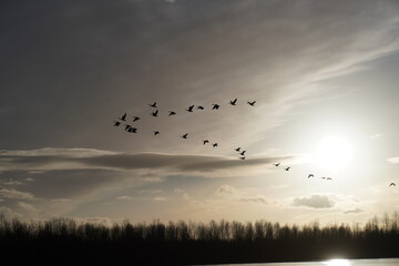 Zum goldenen Einhorn