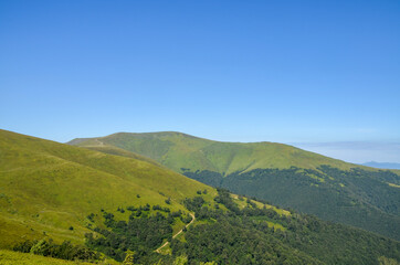 Fototapeta premium Panoramic view of the Carpathian mountains, green forests and meadow in summer sunny day. Ukraine