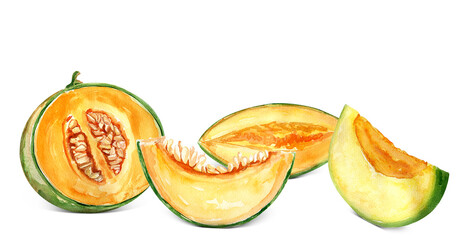 Melon watercolor collage of elements. Template for decorating designs and illustrations.