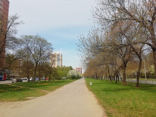 Green park on spring time. Photo with copy space. Road in the park in Ekaterinburg, Russia