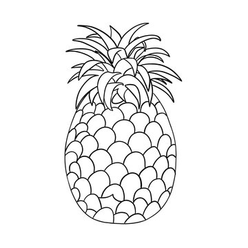 Simple silhouette pineapple black lines