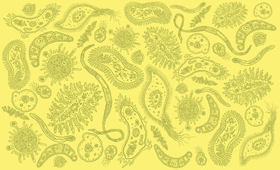 Microbes. Design set. Hand drawn engraving. Editable vector vintage illustration. Isolated on light background. 8 EPS