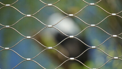 fence with background