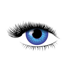 Detailed realistic blue eye with beautiful eyelashes on white