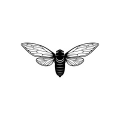 Obraz premium Cicada design vector illustration, Creative Cicada logo design concept template, symbols icons