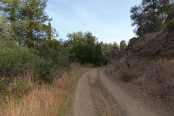 road in the countryside
