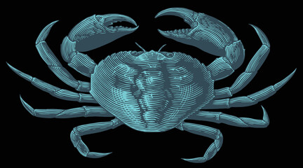 Sea crab. Hand drawn engraving. Editable vector vintage illustration. Isolated on black background. 8 EPS - 432904578