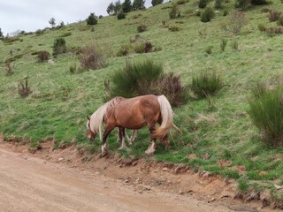 Week-end dans les Pyrénées 