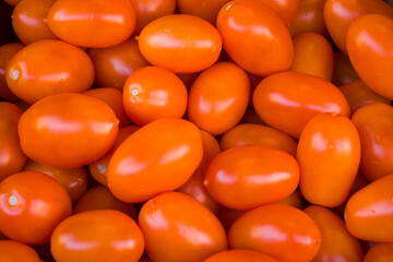 many tomatoes in a market, autumn background