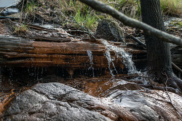 river in the forest, nacka, stockholm, sweden, sverige