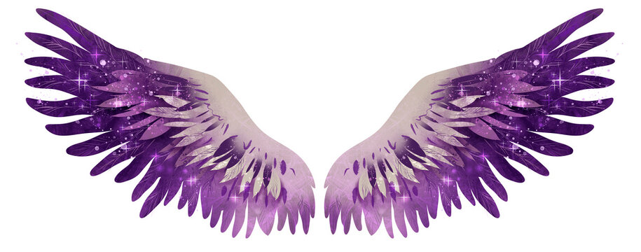 Beautiful magic glittery violet beige wings, raster