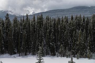 Canada landscapes in winters