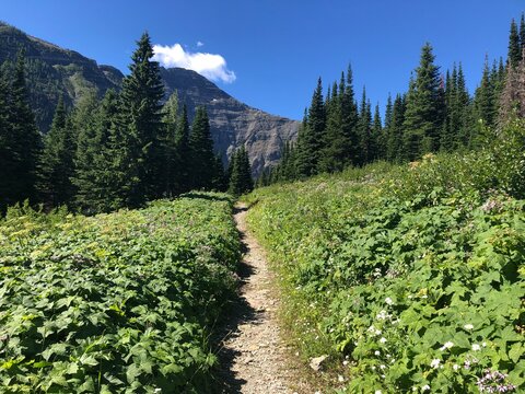 Hiking views from Castle Mountain Area Near Pincher Creek, Alberta, Canada  on a warm sunny day 