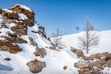 Two trees at the foot of the cliff