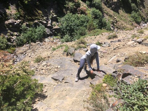 A female hiker is climbing a Table Mountain in Castle Provincial Park, Alberta, Canada during the summer.