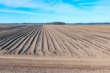 flat new spring furrows for planting vegetable crops against a blue sky