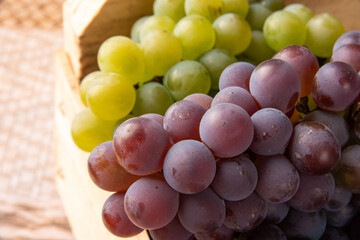 Grapes, wooden box with grapes in closeup, black background, selective focus.