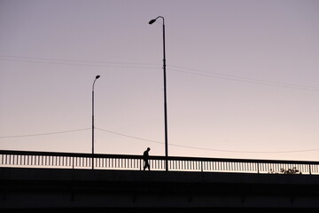 Fototapeta na wymiar silhouette of a person on a bridge