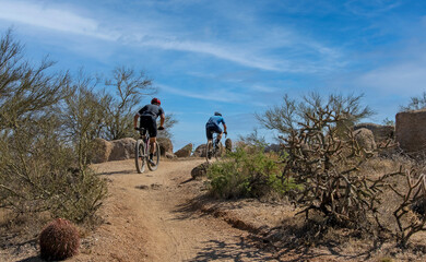 Fototapeta Mountain Bikers Heading Up A Desert Trail In Arizona obraz