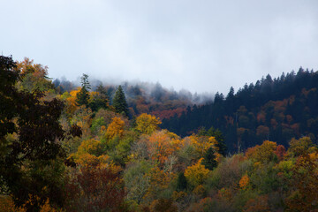 Mountain with a morning mist