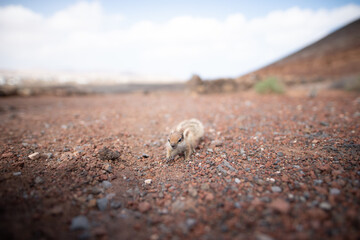 Paisaje con bonitos colores